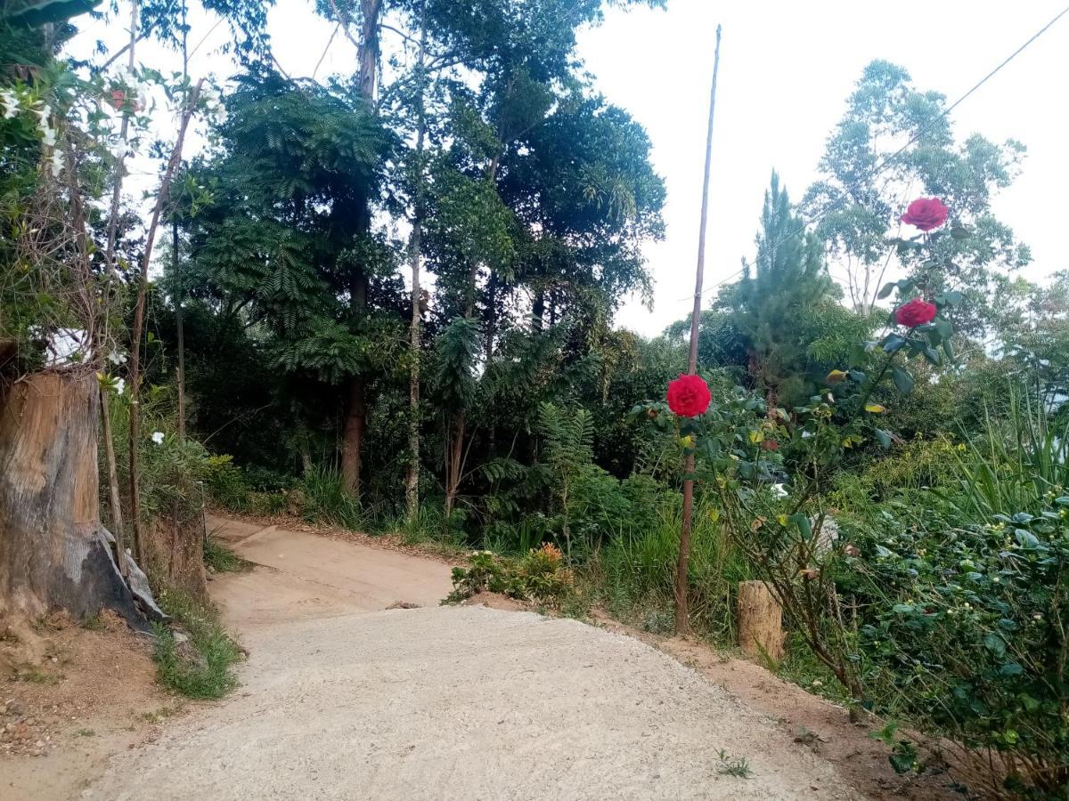 Apurvi Homestay Ella Εξωτερικό φωτογραφία